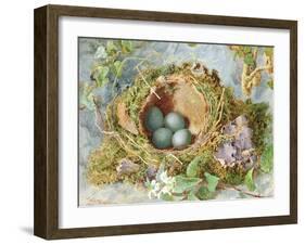 A Nest of Eggs, 1871-Jabez Bligh-Framed Giclee Print