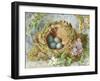 A Nest of Eggs, 1871-Jabez Bligh-Framed Giclee Print