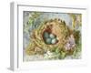 A Nest of Eggs, 1871-Jabez Bligh-Framed Giclee Print