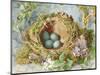 A Nest of Eggs, 1871-Jabez Bligh-Mounted Giclee Print
