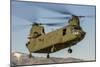 A Nevada National Guard Ch-47 Chinook Helicopter-null-Mounted Photographic Print