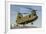 A Nevada National Guard Ch-47 Chinook Helicopter-null-Framed Photographic Print