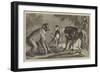 A New Arrival at the Zoological Society's Gardens, Regent's Park-Samuel John Carter-Framed Giclee Print