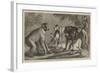 A New Arrival at the Zoological Society's Gardens, Regent's Park-Samuel John Carter-Framed Giclee Print