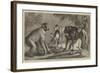 A New Arrival at the Zoological Society's Gardens, Regent's Park-Samuel John Carter-Framed Giclee Print