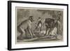 A New Arrival at the Zoological Society's Gardens, Regent's Park-Samuel John Carter-Framed Giclee Print