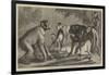 A New Arrival at the Zoological Society's Gardens, Regent's Park-Samuel John Carter-Framed Giclee Print