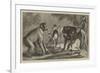 A New Arrival at the Zoological Society's Gardens, Regent's Park-Samuel John Carter-Framed Giclee Print