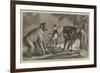 A New Arrival at the Zoological Society's Gardens, Regent's Park-Samuel John Carter-Framed Giclee Print