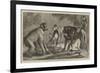 A New Arrival at the Zoological Society's Gardens, Regent's Park-Samuel John Carter-Framed Giclee Print