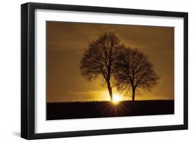 A New Beginning-Ily Szilagyi-Framed Photographic Print