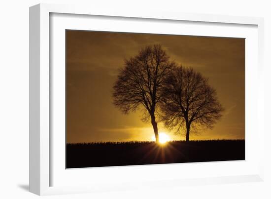 A New Beginning-Ily Szilagyi-Framed Photographic Print