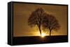 A New Beginning-Ily Szilagyi-Framed Stretched Canvas