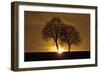 A New Beginning-Ily Szilagyi-Framed Premium Photographic Print