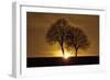 A New Beginning-Ily Szilagyi-Framed Premium Photographic Print