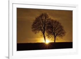 A New Beginning-Ily Szilagyi-Framed Photographic Print