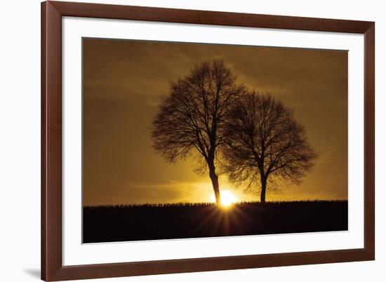 A New Beginning-Ily Szilagyi-Framed Photographic Print