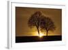 A New Beginning-Ily Szilagyi-Framed Photographic Print