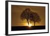 A New Beginning-Ily Szilagyi-Framed Photographic Print