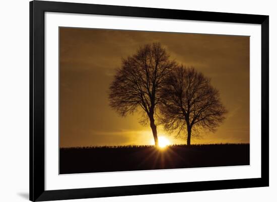 A New Beginning-Ily Szilagyi-Framed Photographic Print