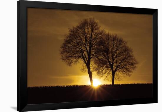 A New Beginning-Ily Szilagyi-Framed Photographic Print