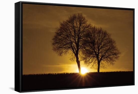 A New Beginning-Ily Szilagyi-Framed Stretched Canvas