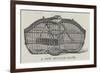 A New Bicycle-Crate-null-Framed Giclee Print