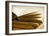 A New Chapter-Jessica Rogers-Framed Giclee Print