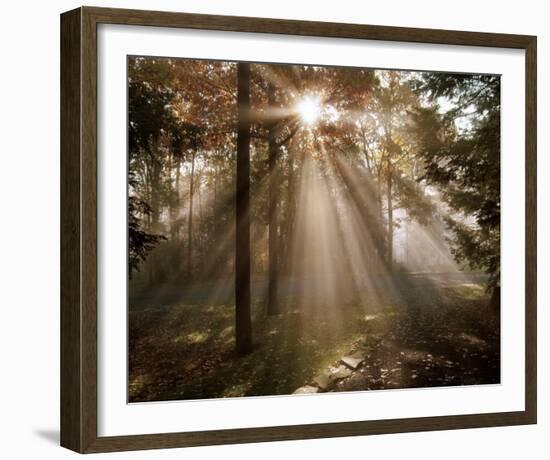 A New Day I-Ann Dahlgren-Framed Art Print