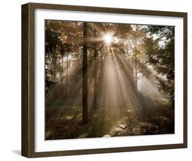 A New Day I-Ann Dahlgren-Framed Art Print