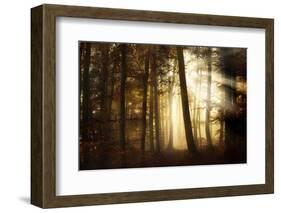 a new day-Norbert Maier-Framed Photographic Print