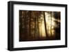 a new day-Norbert Maier-Framed Photographic Print