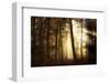 a new day-Norbert Maier-Framed Photographic Print