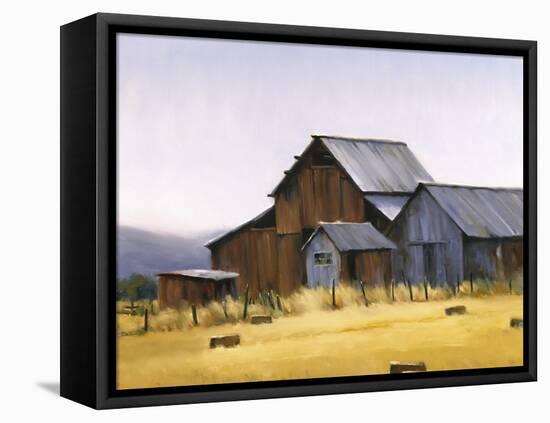 A New Day-David Marty-Framed Stretched Canvas