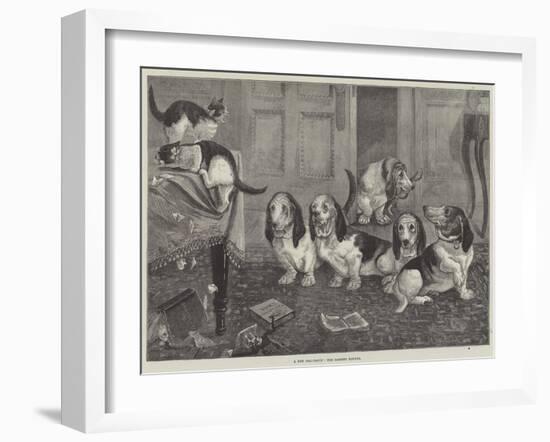 A New Dog-Fancy, the Bassett Hounds-null-Framed Giclee Print