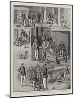 A New Hobby for School-Boys, the Kennel Club at Clayesmore School, Enfield-S.t. Dadd-Mounted Giclee Print