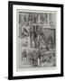 A New Hobby for School-Boys, the Kennel Club at Clayesmore School, Enfield-S.t. Dadd-Framed Giclee Print