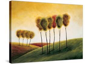 A New Morning II-Mike Klung-Stretched Canvas