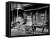 A New Orleans Milk Cart, New Orleans, La.-null-Framed Stretched Canvas