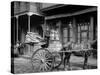 A New Orleans Milk Cart, New Orleans, La.-null-Stretched Canvas