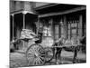 A New Orleans Milk Cart, New Orleans, La.-null-Mounted Photo