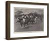 A New Polo Ground for Londoners, a Match at the Wimbledon Park Polo Club-Frank Craig-Framed Giclee Print