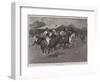 A New Polo Ground for Londoners, a Match at the Wimbledon Park Polo Club-Frank Craig-Framed Giclee Print