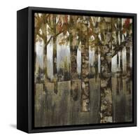 A New Season II-Liz Jardine-Framed Stretched Canvas