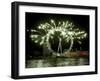 A New Year Fireworks Display Celebrate the Beginning of 2006-null-Framed Premium Photographic Print