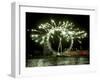 A New Year Fireworks Display Celebrate the Beginning of 2006-null-Framed Premium Photographic Print