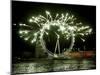 A New Year Fireworks Display Celebrate the Beginning of 2006-null-Mounted Premium Photographic Print