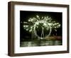 A New Year Fireworks Display Celebrate the Beginning of 2006-null-Framed Photographic Print