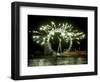 A New Year Fireworks Display Celebrate the Beginning of 2006-null-Framed Photographic Print