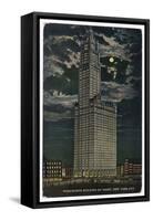 A New York Skyscraper: Woolworth Building by Night-null-Framed Stretched Canvas